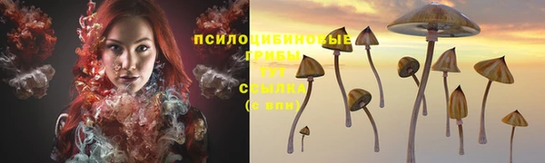 наркотики Белокуриха