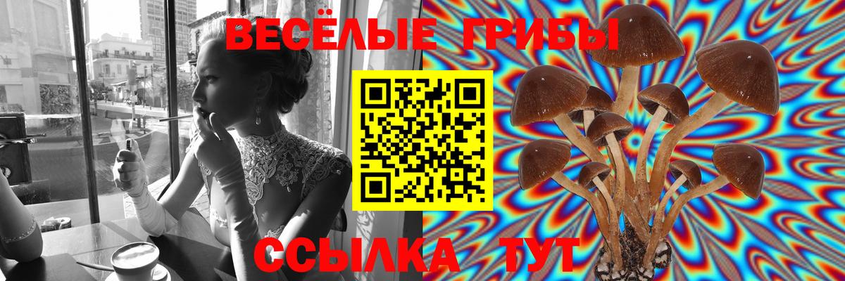 Бутурлиновка  Галлюциногенные грибы Magic Shrooms  Вход с VPN 